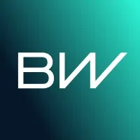 BORGWARNER TRANSMISSION SYSTEMS TULLE logo