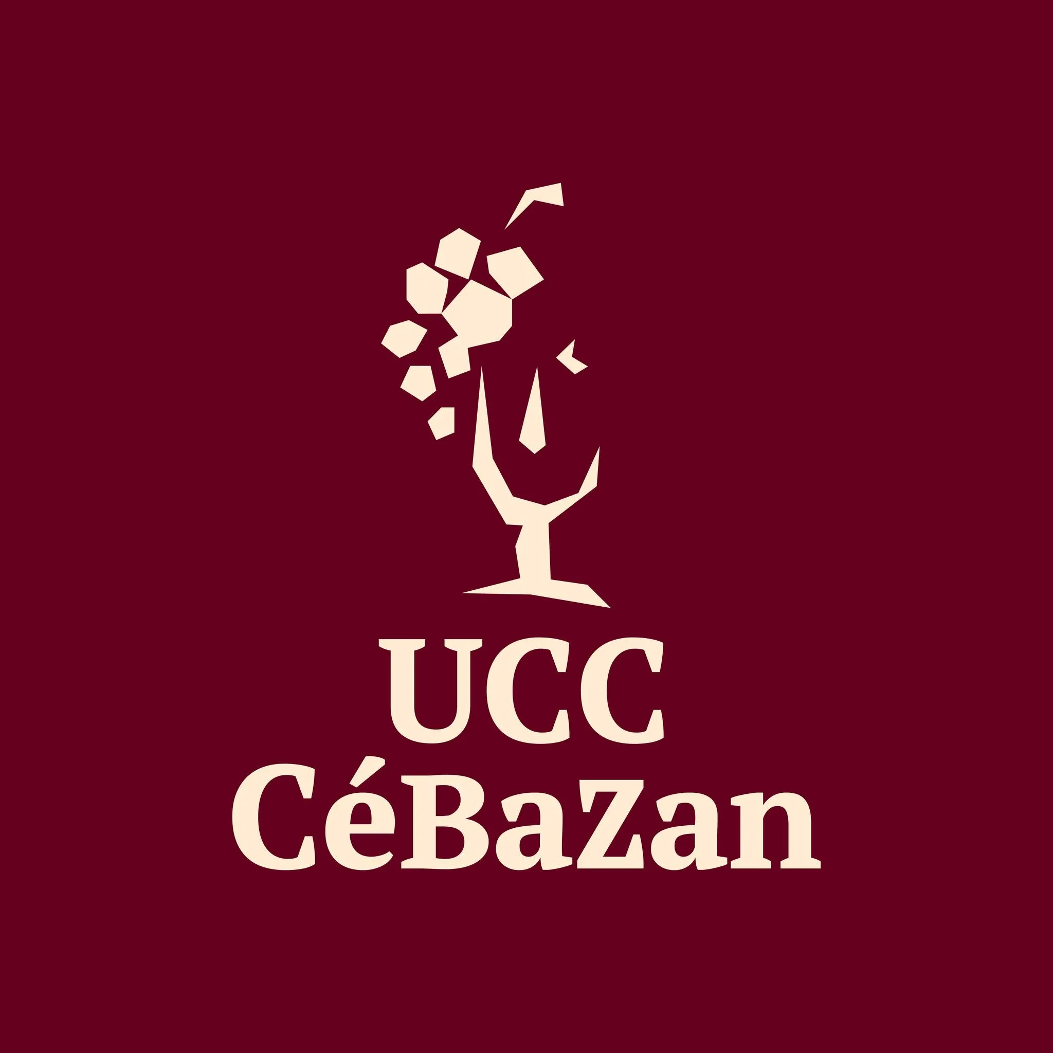 UNION CAVES COOPERIVES SECT ST CHINIAN logo