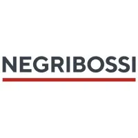 NEGRI BOSSI FRANCE logo