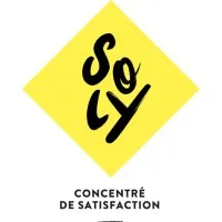 SA SOLY IMPORT logo