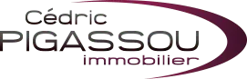 AGENCE PIGASSOU logo