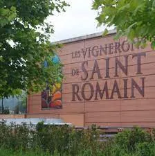 VIGNERONS ST ROMAIN-CAVE LA MOTTOISE logo