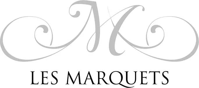 LES VIGNERONS DU PLAN DE LA TOUR logo