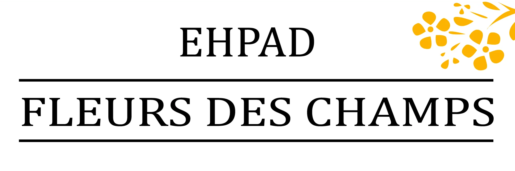 Voici le logo de la marque RESIDENCE FLEURS DES CHAMPS qui représente son identité graphique.