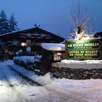 LE VIEUX MOULIN logo