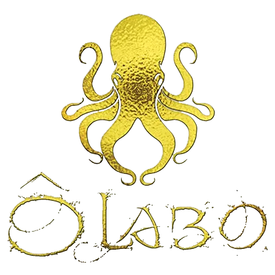 FABIEN TONICELLO CONSEIL IMAGE CONCEPT O'LABO logo