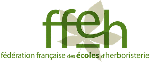IMDERPLAM logo