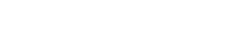 VIRICEL FABIEN logo