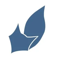 FOX AUDIT logo