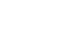 ROUSSEAU ANAIS logo