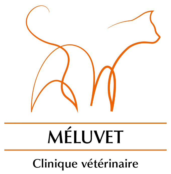 SELARL MELUVET logo