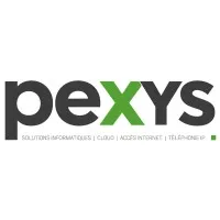 PEXYS GROUP logo