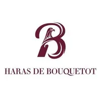 ECURIE HARAS BOUQUETOT SAS logo