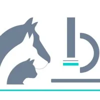 POULETTY NICOLAS logo