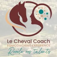 DOMAINE EQUESTRE DE HAUTE MAISON (DEHM) logo
