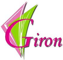 GIRON TRAITEUR SARL logo