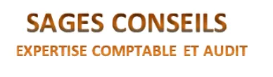SAGES CONSEILS & MANAGEMENT logo