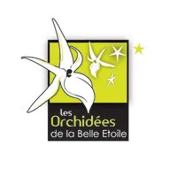LES ORCHIDEES DE LA BELLE ETOILE logo