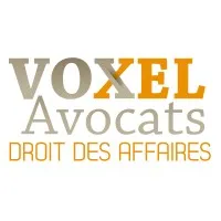 VOXEL logo