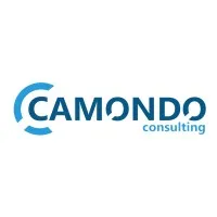 CAMONDO CONSULTING logo