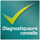 DIAGNOSTIQUEURS CONSEILS logo