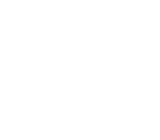 VARIN JANY logo