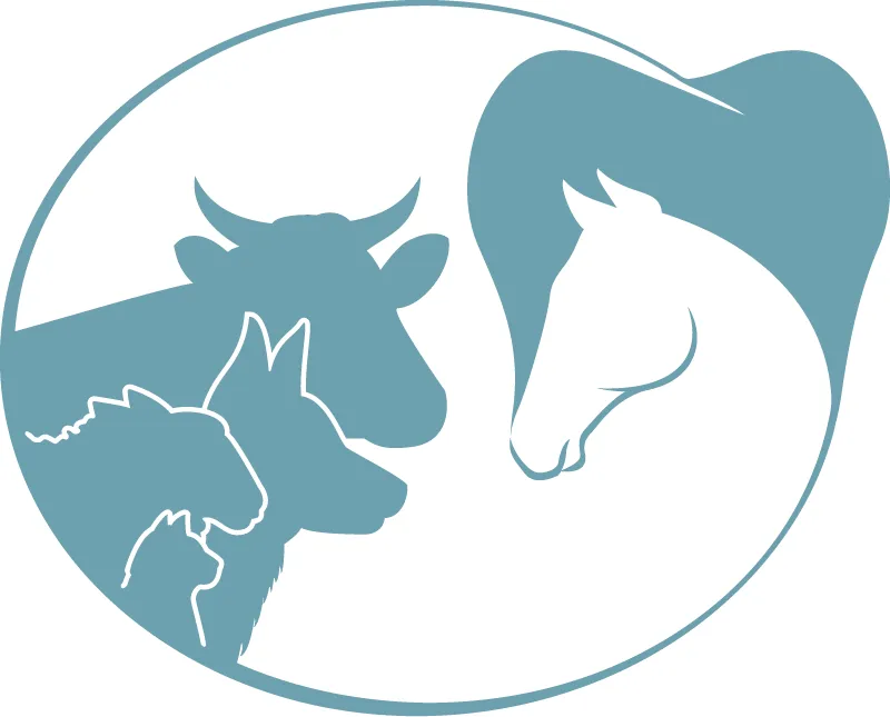 SEDRA logo