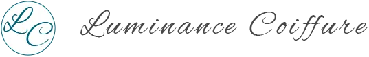 DE VIENNE VIRGINIE logo