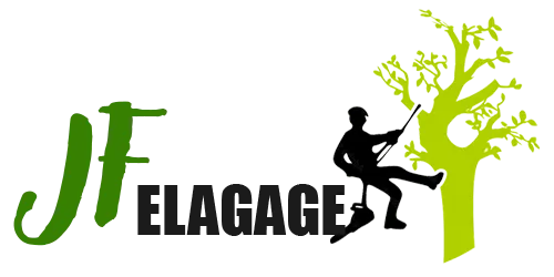 FARGIER EZECHIEL logo