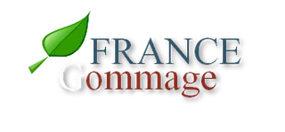 FRANCE GOMMAGE logo