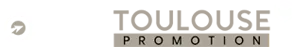 OGP TOULOUSE logo