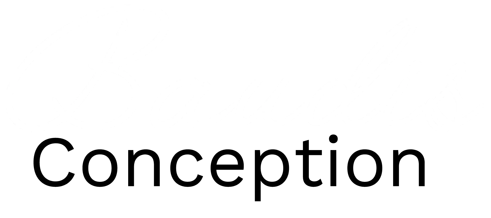 BAUDIS QUENTIN logo