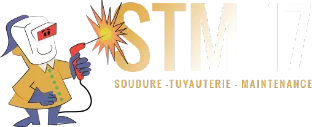 STM 17 logo