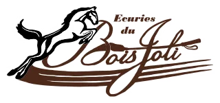 GALLOIS CYRIL logo