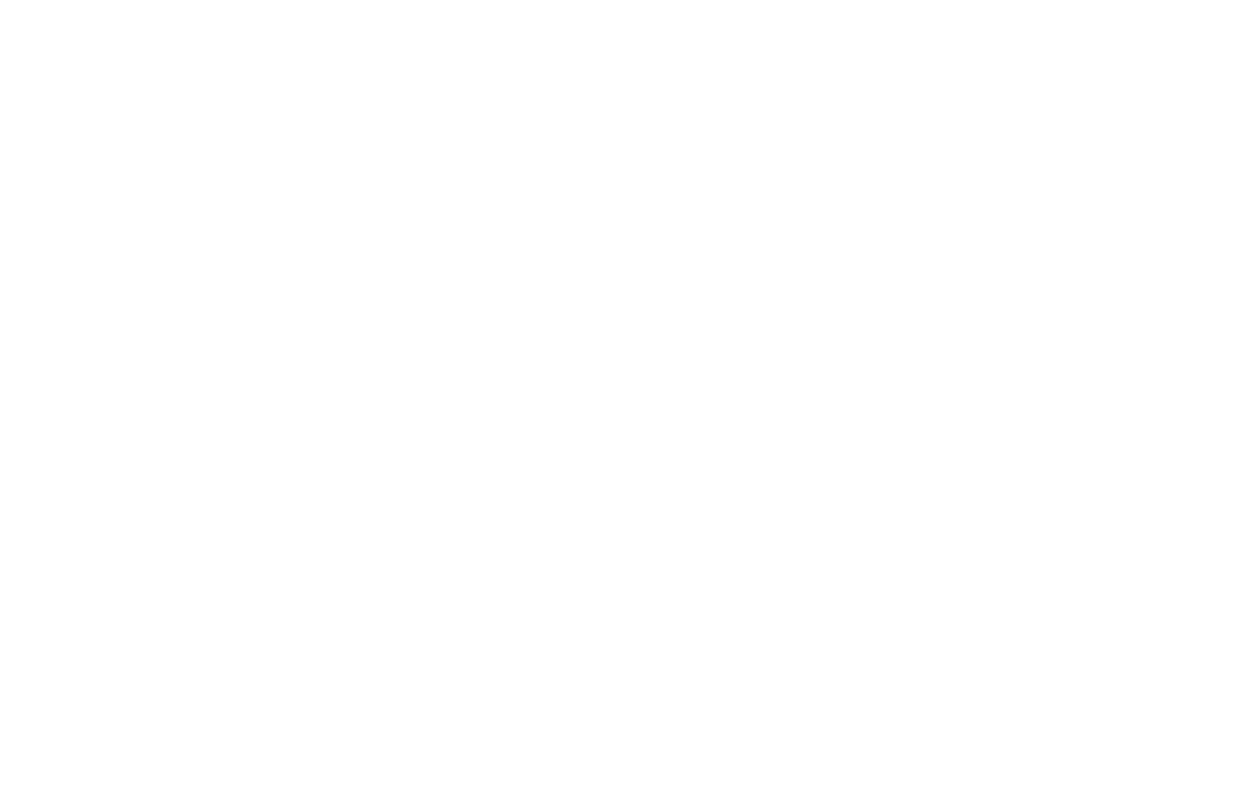 VINCENT MARION logo