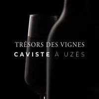 TRESORS DES VIGNES logo