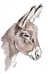 DOMBROWSKI HENRI logo