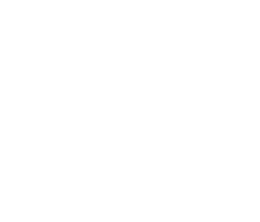 WOLSKA ROMANN logo