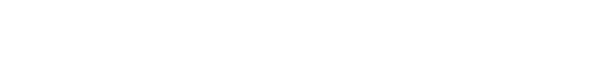 DRONE IMMO logo