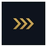 Voici le logo de la marque SECURALLIANCE qui représente son identité graphique.