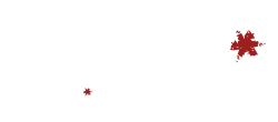 SASU LE COMPTOIR logo