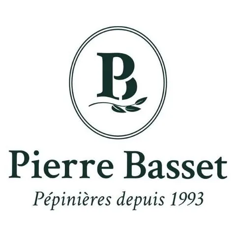 Voici le logo de la marque BASSET DIFFUSION qui représente son identité graphique.