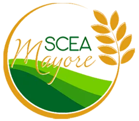 SCEA MAYORE (S.C.E.A.) logo