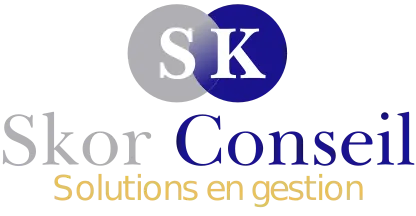 SKOR CONSEIL logo