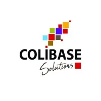 COLIBASE SOLUTIONS logo