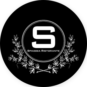 Voici le logo de la marque S.T.E.L.L.A qui représente son identité graphique.