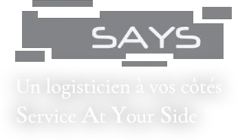 SAYS logo