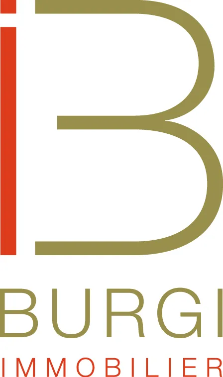 VITRINE IMMOBILIERE DU PARTICULIER (V I P) logo