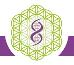 OM'QUANTALLYA logo