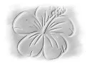 HIBISCUS EVENEMENTS &VOYAGES logo